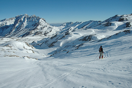 Aliva ©Foto Bustamante aliva