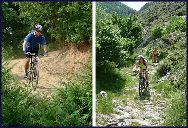 MTB tracks mtb tracks