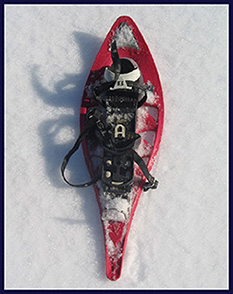 snowshoe