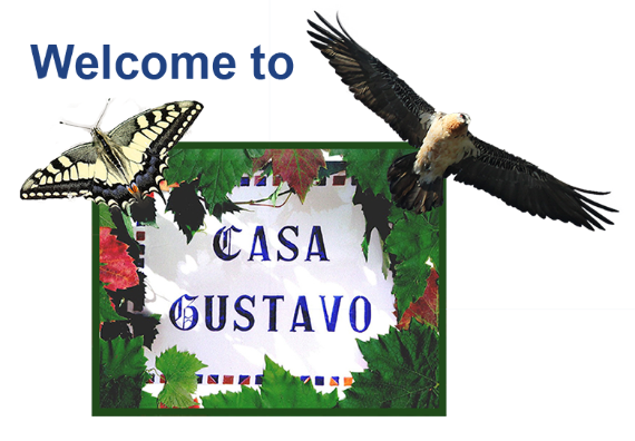 Casa Gustavo guesthouse Casa Gustavo guesthouse